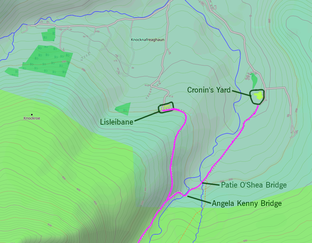 Cronin's Yard and Lisleibane